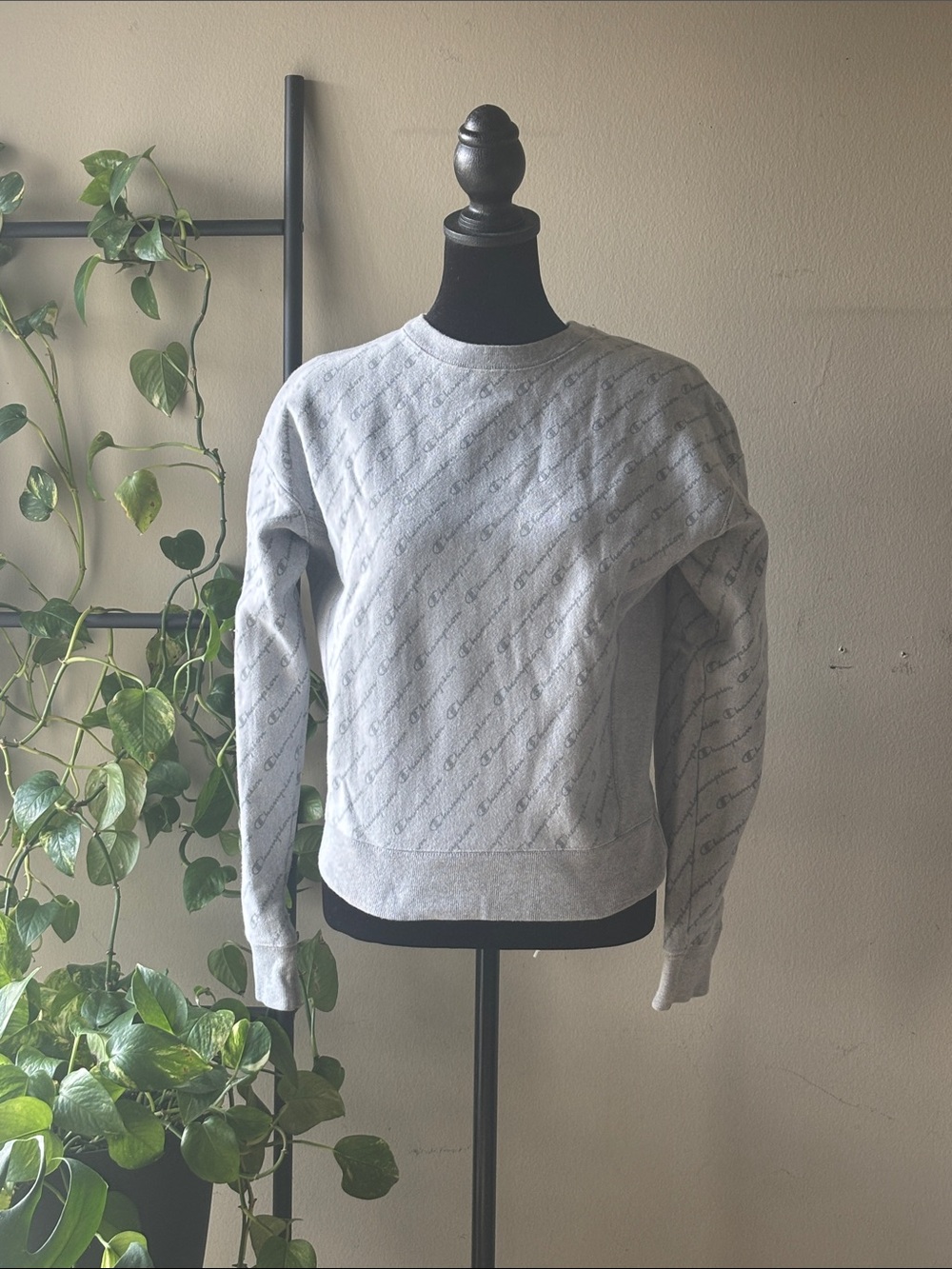 Champion Gray Reverse Weave Crewneck Sweatshirt